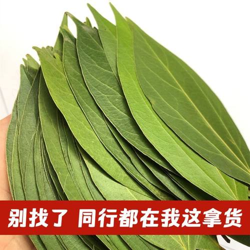 平安树叶标本干树叶干燥平面叶子紫外激光雕刻照片做叶雕材料