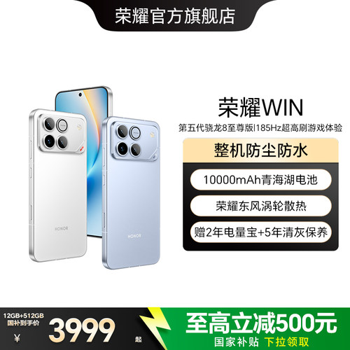 荣耀WIN10000mAh青海湖电池