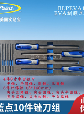 蓝点10件锉刀组BLPEVA16P蓝点EVA刻膜工具  实耐宝snapon汽修组套