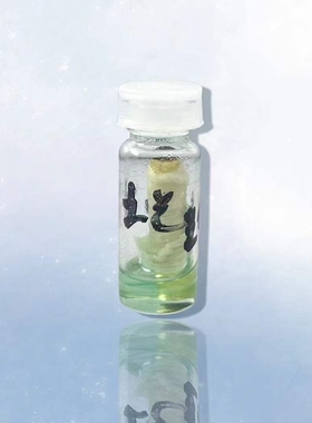 泰国佛牌正品 油 涂抹式