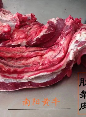 豫中鲜河南南阳冷冻细嫩生牛肉
