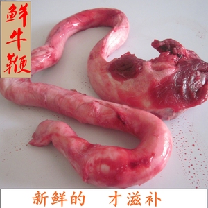 10年老店 新鲜牛鞭当天现宰  男用滋补品无牛宝牛杂生鲜牛鞭500克