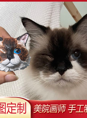 独眼布偶猫咪冰箱贴汽车苏格兰梗定制苏格兰梗模型澳洲梗猫咪摆件