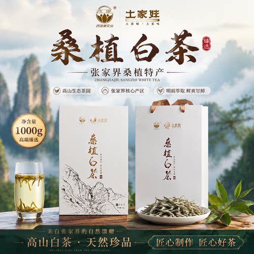 土家妹X西莲桑植白茶砖1000g