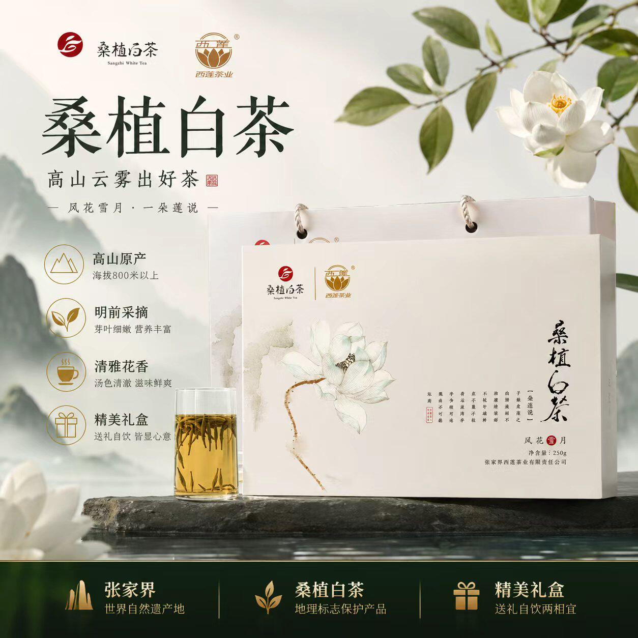 张家界桑植白茶雪系列礼盒250g