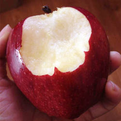 【老客专供】天水花牛苹果新鲜水果粉面刮泥甘肃特产红蛇秦安苹果