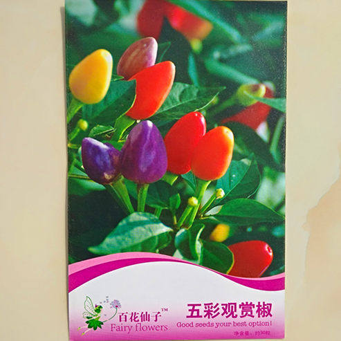 彩图原包装五彩观赏辣椒种子客厅观果植物可食用四季观赏30粒每袋