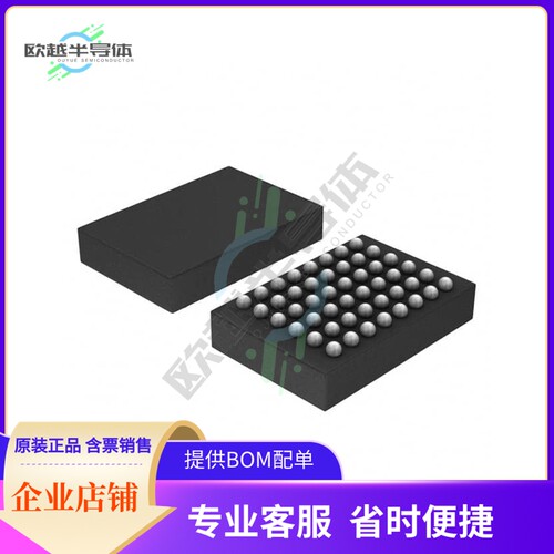 集成电路B250W48A106E1G 原装正品 提供BOM配单服务
