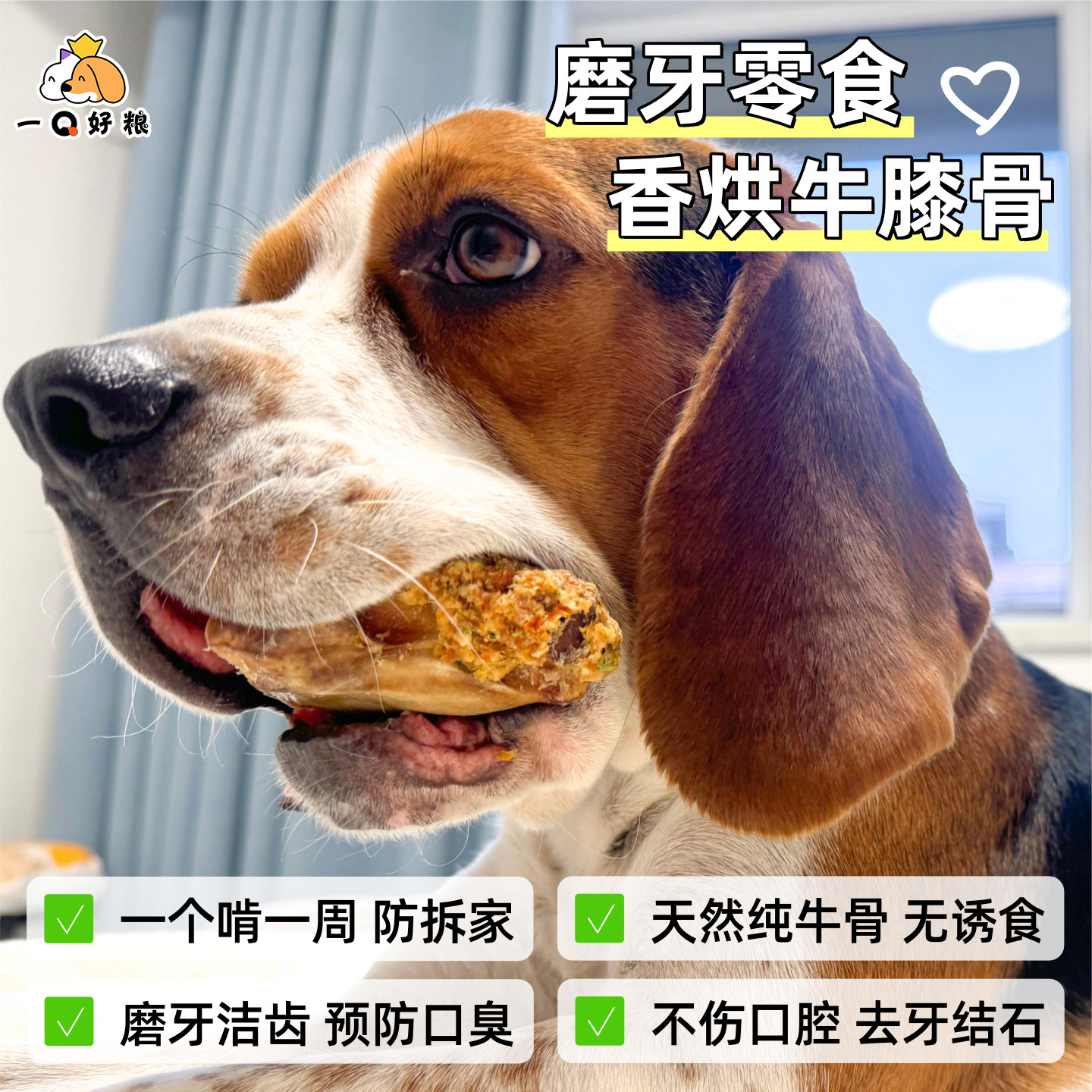 狗狗零食玩具风干鸡鸭肉香烘牛膝盖骨成犬幼犬耐咬磨牙棒防拆家,宠物/宠物食品及用品,狗风干零食/肉干/肉条,淘宝优惠券,粉丝福利购,淘宝优惠卷