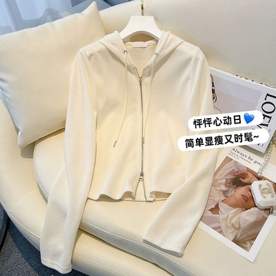 韩版气质款百搭秋季卫衣拉链外套