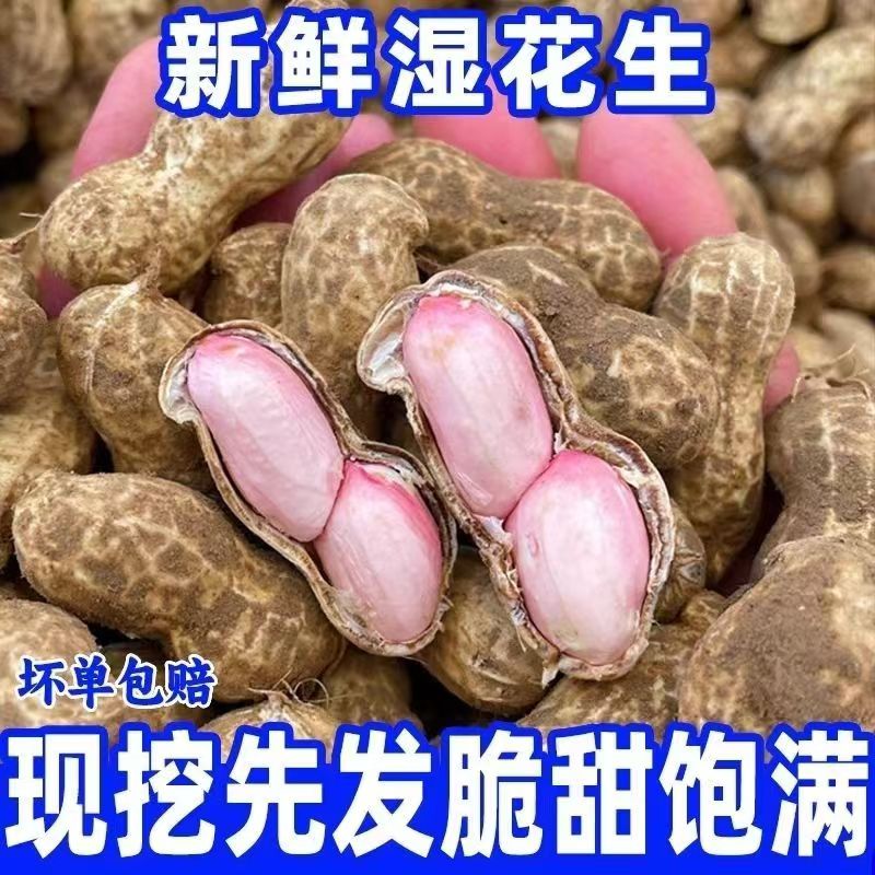 2026年新鲜湿花生带壳饱满少新鲜花生