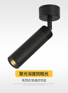 酒吧可调光聚光小射灯 led轨道灯吸顶民谣酒馆餐吧餐厅聚焦灯1W3W