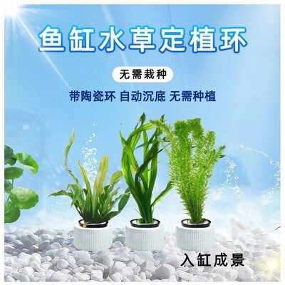 水草定植三件套陶瓷环固定杯下沉杯定植蓝定植环定植棉鱼缸沉环