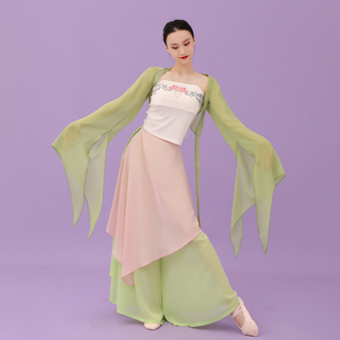 2023蝴蝶带透明雪纺飘逸纱衣外套长裙舞蹈服套装清新粉绿古典舞服