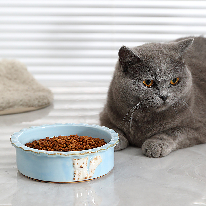 小马行空手画创意陶瓷猫碗可爱创意卡通防打翻高脚猫食盆狗碗
