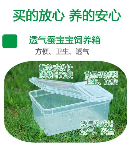 春蚕宝宝1-5龄活蚕发货桑蚕,量多可优惠，20条起白色。