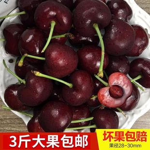 顺丰包邮现货车厘子大樱桃J级大果当季时令新鲜水果1/2/3/5斤