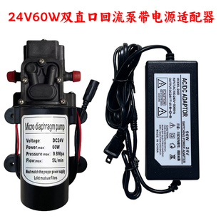直流24V微小型电动抽水泵220V自吸隔膜泵洗车打药喷雾器增压泵