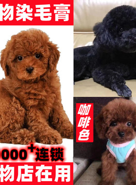 宠物狗猫专用染毛膏染色膏染发剂泰迪红棕色黑色咖啡色白比熊博美