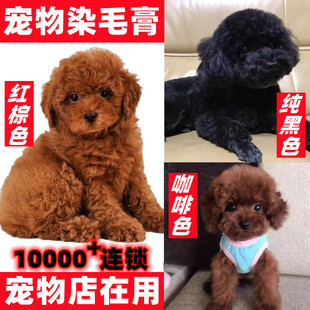 宠物狗猫专用染毛膏染色膏染发剂泰迪红棕色黑色咖啡色白比熊博美