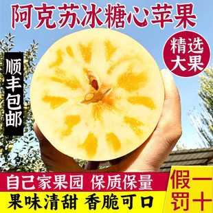 包邮 正宗阿克苏精选冰糖心苹果水果新鲜丑苹果当季 整箱10斤