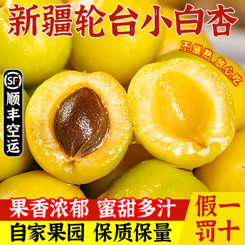 【顺丰空运】新疆小白杏软糯香甜