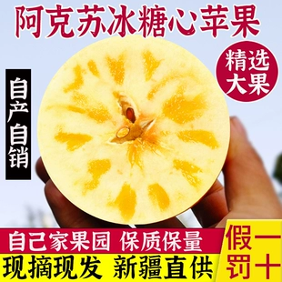 包邮 正宗阿克苏冰糖心苹果特级新疆丑苹果新鲜当季 整箱10斤