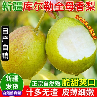 正宗新疆库尔勒香梨新鲜孕妇水果当季 优选全母小香梨子产地直发
