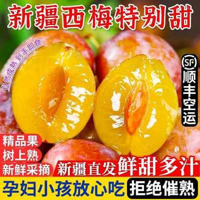 新疆西梅果园现摘鲜甜多汁