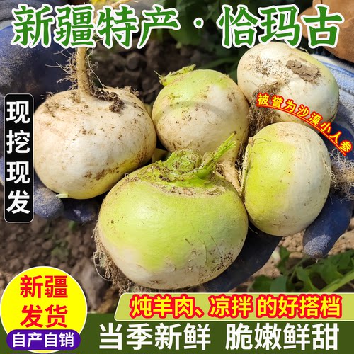 新疆恰玛古，炖羊肉凉拌食材