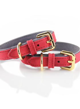 PETCARE灵动系列意大利进口磨砂皮全包边软牛皮项圈脖圈泰迪比熊