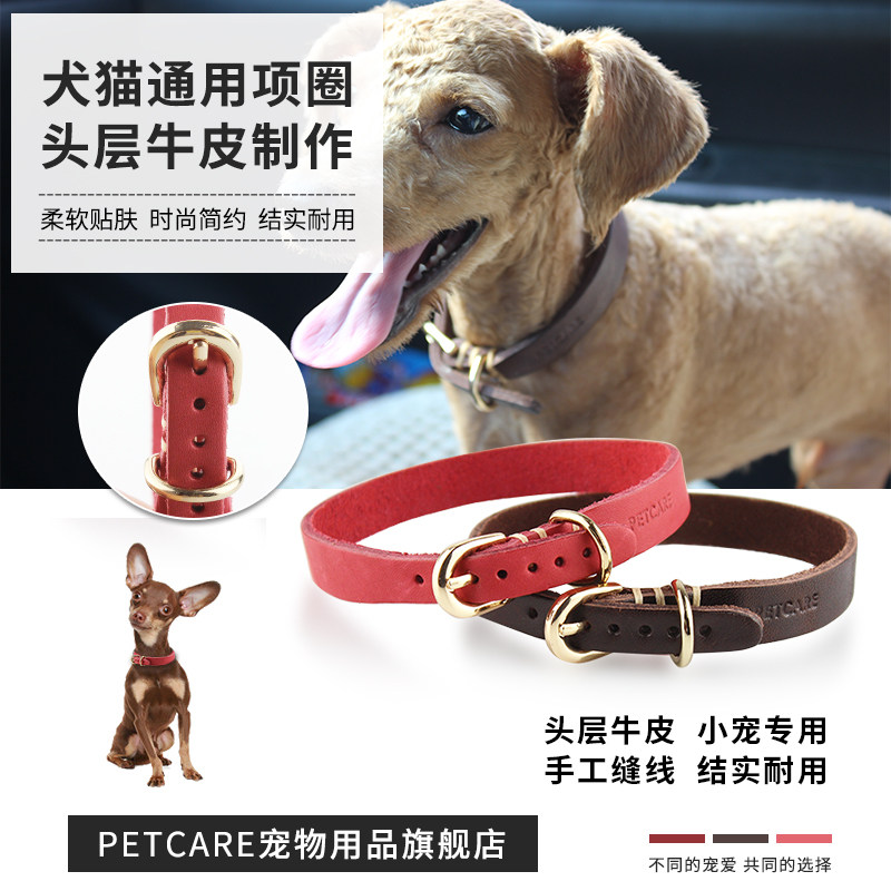 petcare 宠物项圈牛皮狗项圈脖圈水晶项圈小型犬泰迪比熊贵宾狗圈