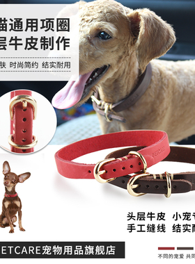 petcare 宠物项圈牛皮狗项圈脖圈水晶项圈小型犬泰迪比熊贵宾狗圈