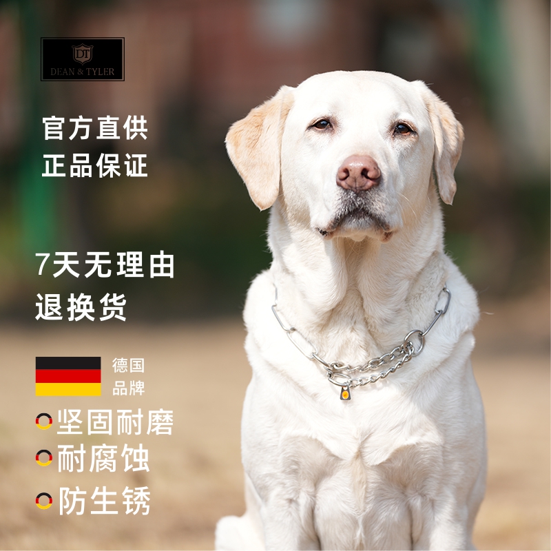 马犬德牧拉布拉多适用半控制P链