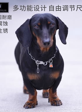 快速连接钩多功能不锈钢短节P链项圈柯基腊肠边境防咬防脱扣狗链