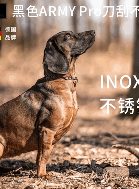 德国DEAN & TYLER轻量化中短节不锈钢P链狗项圈狗圈狗链宠物脖圈
