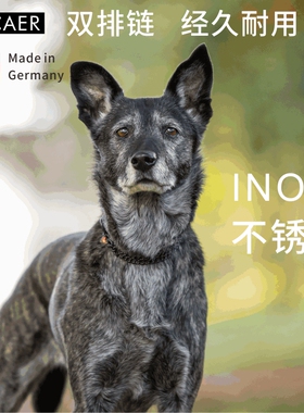PETCARE德国进口黑色双排双面磨平不锈钢P链脖圈脖链狗项圈狗套