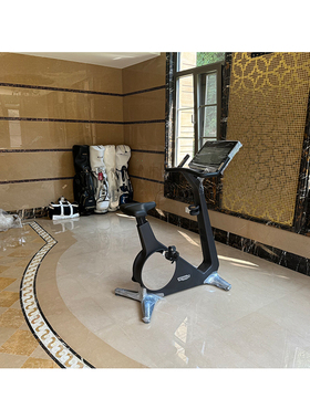 Technogym泰诺健家用健身单车BIKE PERSONAL