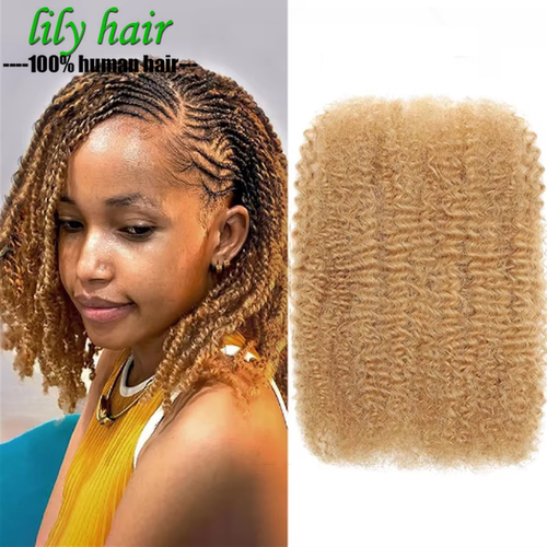 Afro Kinky Curly Human Hair Bulk #27 Blonde Loc Braid Hair