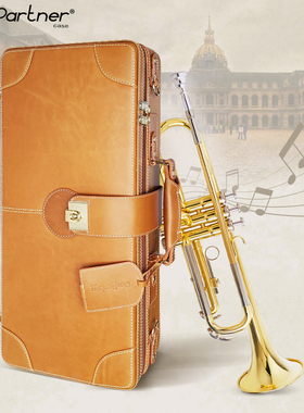 SunPartner/日伴官方旗舰店 全牛皮 小号箱包 真皮乐器箱包TR-852