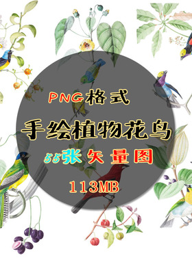 P366伊甸园花鸟动植物手绘热带插画集卡片印刷品文具包装PNG素材