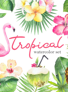 P337水彩热带植物叶子火烈鸟边框婚礼PSD卡片装饰图案PNG设计素材