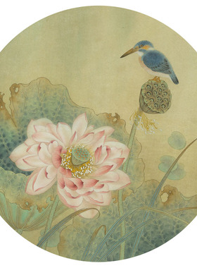 P352高清国画工笔荷花20张李科宏中国风美术手绘临摹荷花图片素材