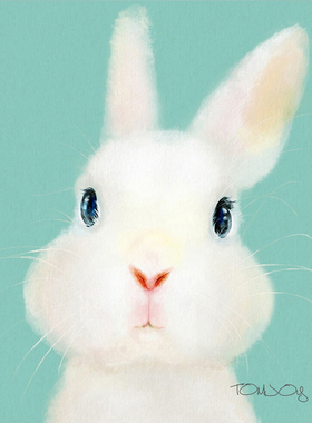 P192卡通萌宠动物儿童卧室书房装饰画芯高清图库手绘动物插画素材