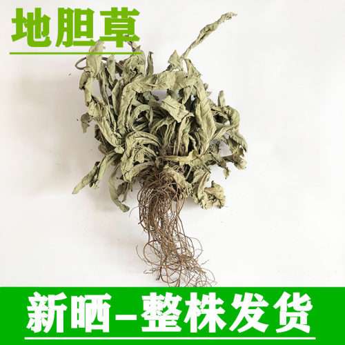 广西地胆草袋装全草中药材新货
