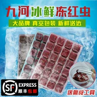 櫕楸 ㈣ 櫕楸 櫕楸 ゲ ゲ 鏂 ゲ 铏     栌涔 濇 濇 澶 澶 铏 铏  胯 櫕楸 櫕楸 鐗 涘 牎 楸 鍐 鍐 鍐 鍐 鍐 鍐 鍐 涘 牎  鍐 鍐 鍐 鍐 鍐 鍐 鍐