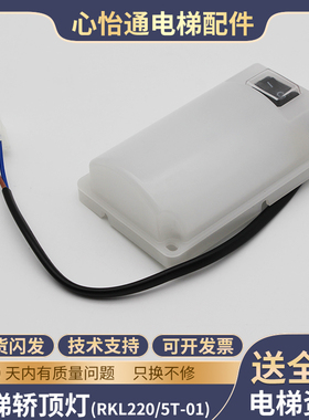 德凌井道照明灯RKL220/5T-01电梯轿顶照明灯通用型固定式灯具5W