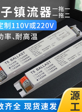T8T5老式荧光灯电子镇流器一拖二紫外线杀菌灯管专用整流器28 40W