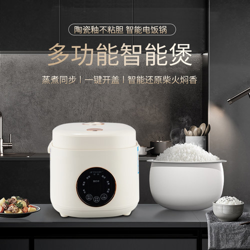 半球陶瓷釉电饭煲1.6-3升多功能