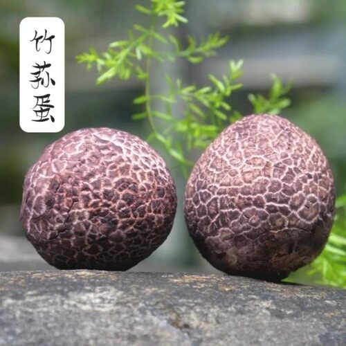 新鲜竹荪蛋竹蛋野生竹蛋竹笙现摘现发竹荪干货特级江西菌菇